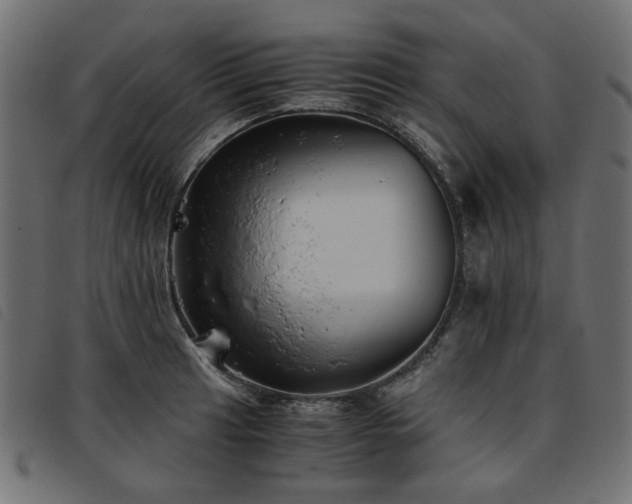X0000093771041200710161238