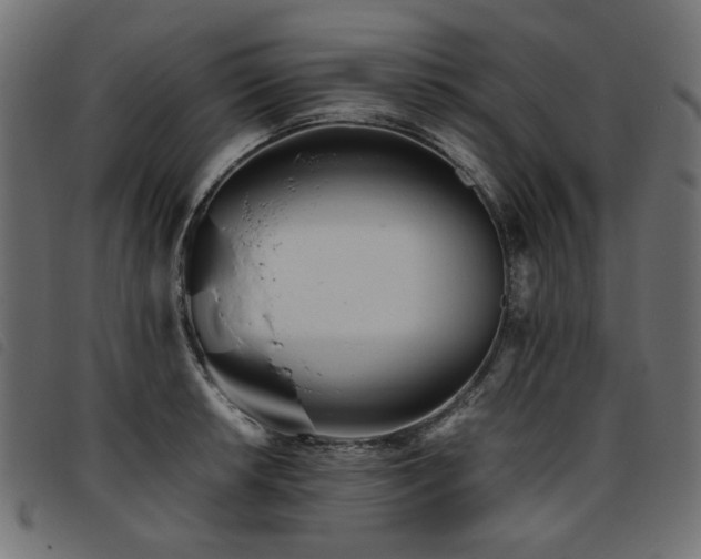 X0000093771042200710161238