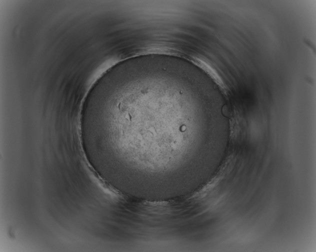 X0000093771043200710161238