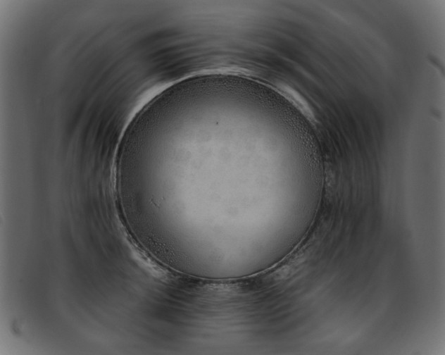 X0000093771044200710161238