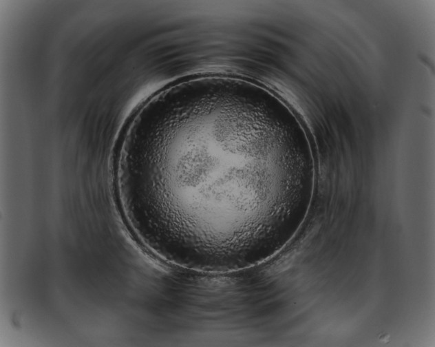 X0000093771045200710161238