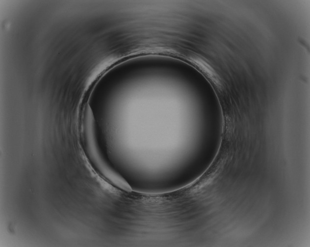 X0000093771046200710161238