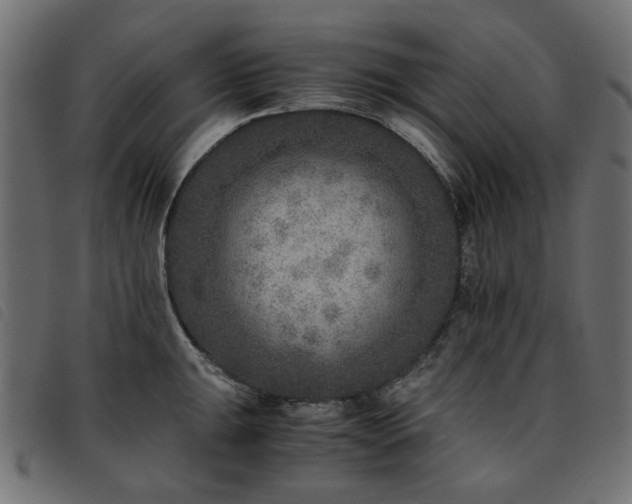 X0000093771047200710161238