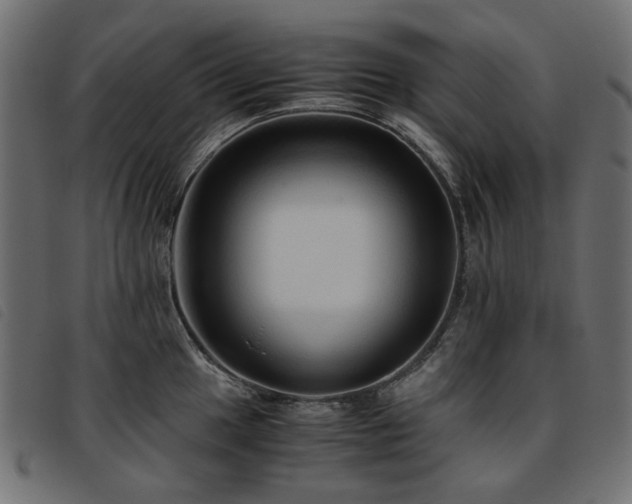 X0000093771049200710161238
