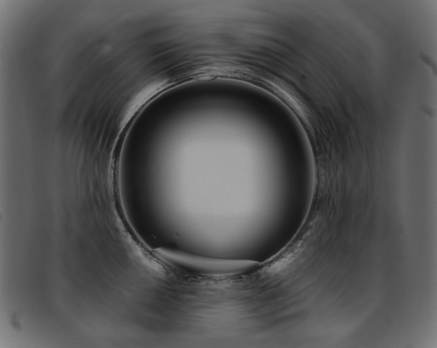 X0000093771050200710161238