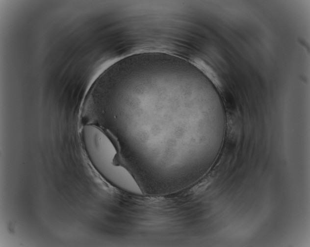 X0000093771052200710161238