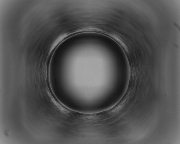 X0000093771054200710161238