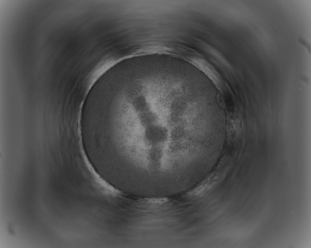 X0000093771055200710161238