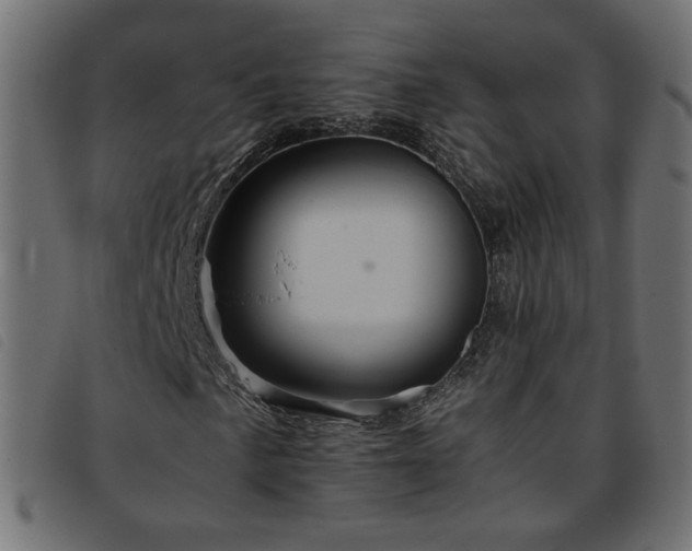 X0000093771057200710161238
