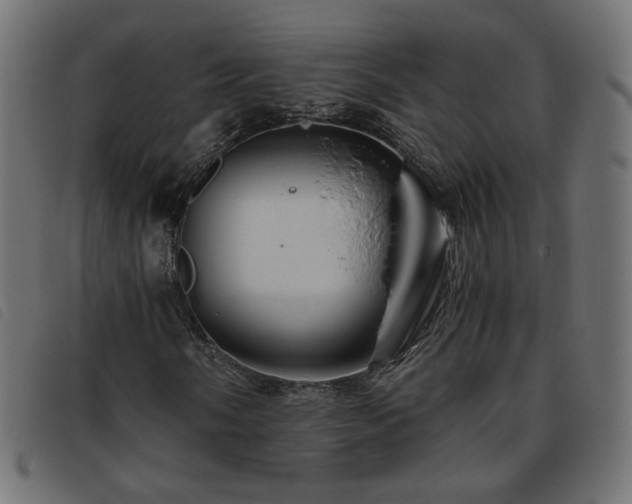 X0000093771058200710161238