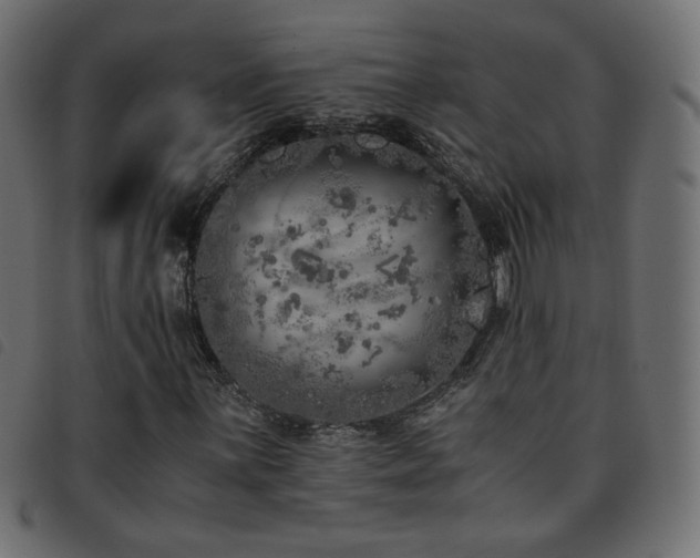 X0000093771059200710161238