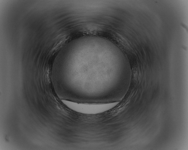X0000093771060200710161237