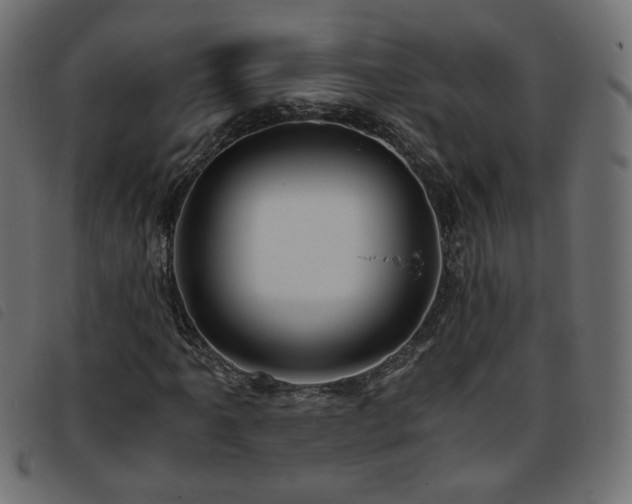 X0000093771061200710161237