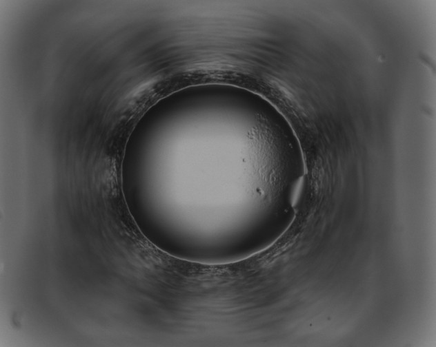 X0000093771062200710161237