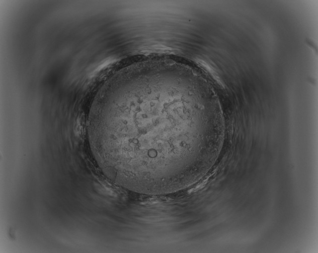 X0000093771063200710161237