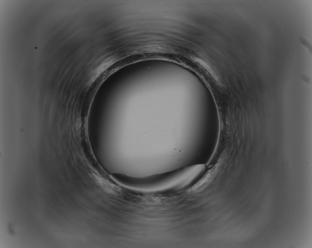 X0000093771065200710161237