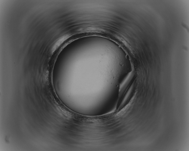X0000093771066200710161237