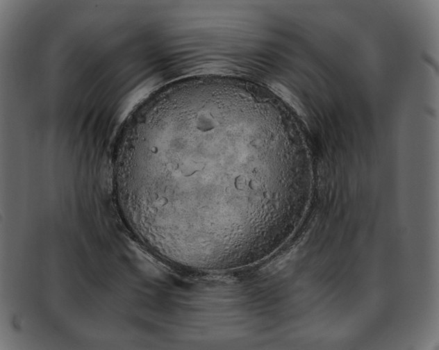 X0000093771067200710161237