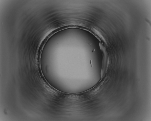 X0000093771068200710161237