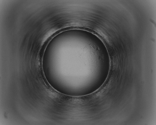 X0000093771070200710161237
