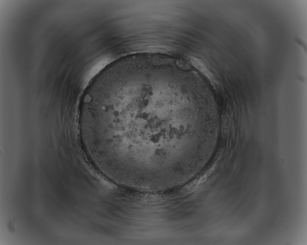 X0000093771071200710161237