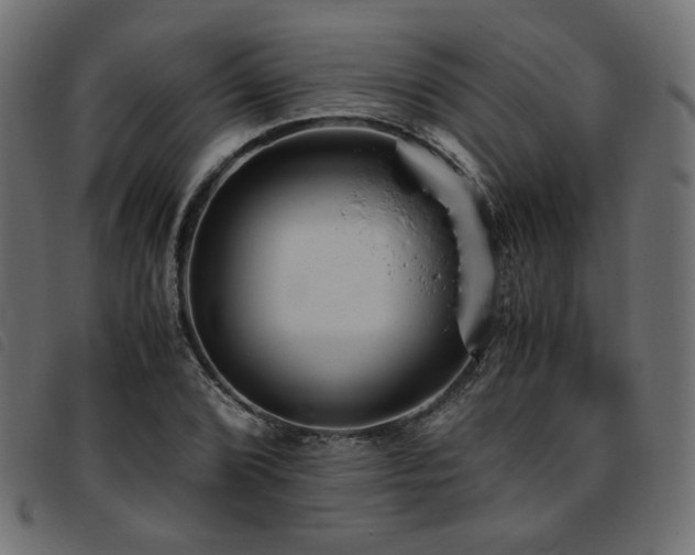 X0000093771072200710161237