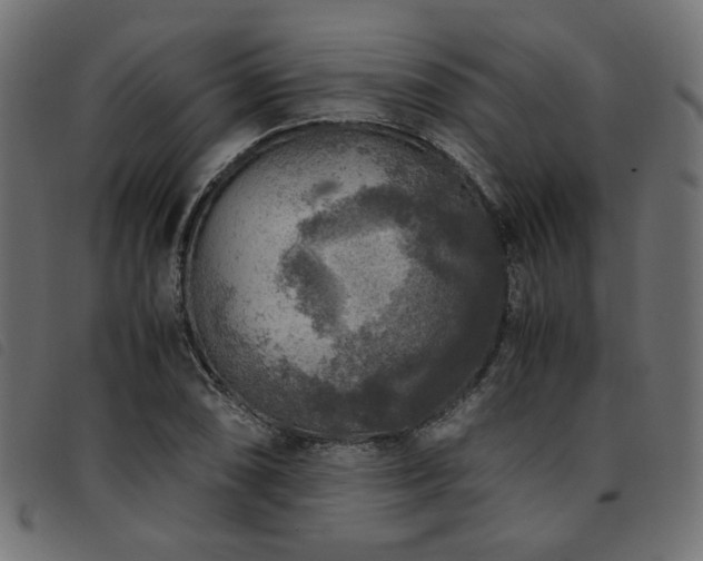 X0000093771074200710161237