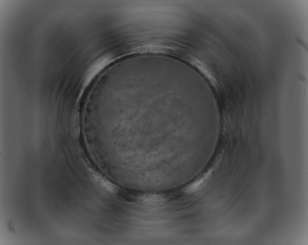 X0000093771075200710161237