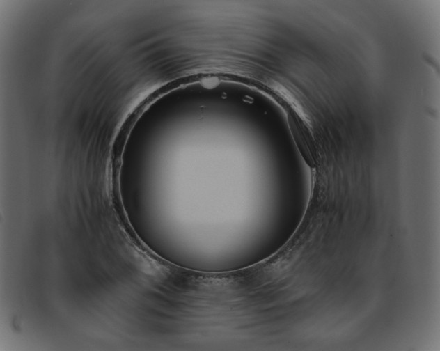 X0000093771076200710161237