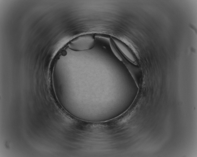 X0000093771077200710161237