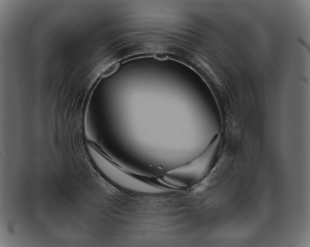 X0000093771081200710161237