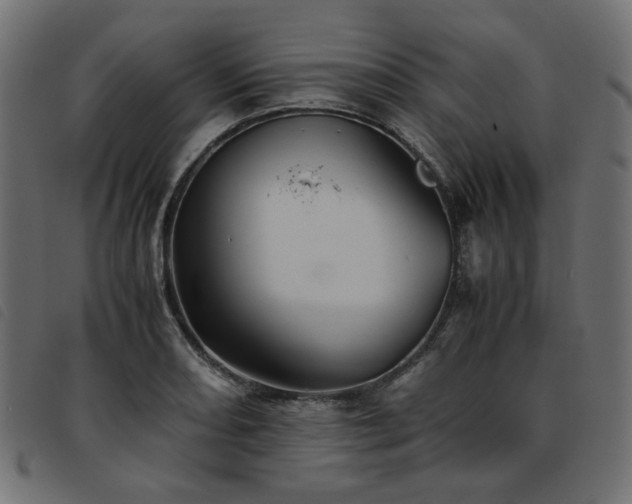 X0000093771082200710161237