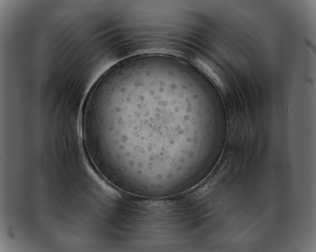X0000093771084200710161237