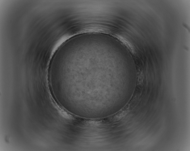 X0000093771086200710161237