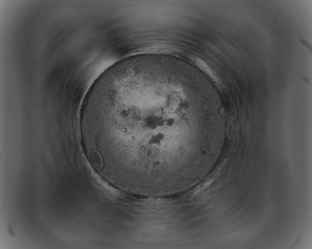 X0000093771087200710161237