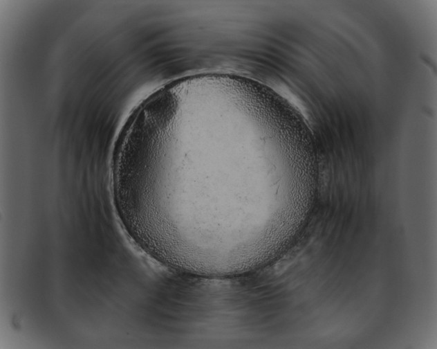 X0000093771088200710161237