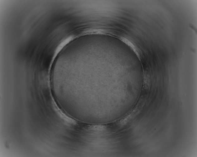 X0000093771090200710161237