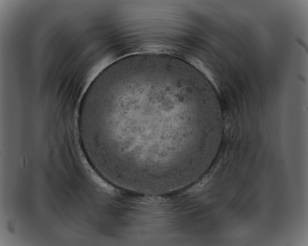 X0000093771091200710161237
