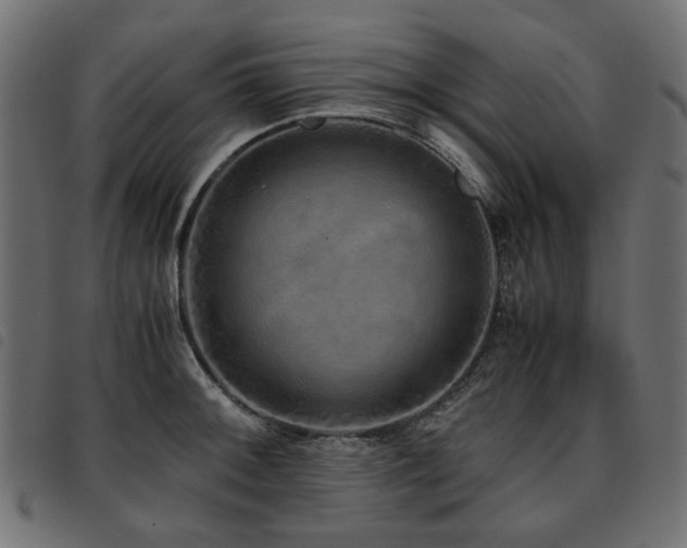 X0000093771092200710161237