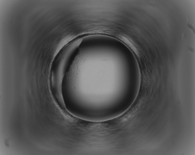 X0000093771093200710161237