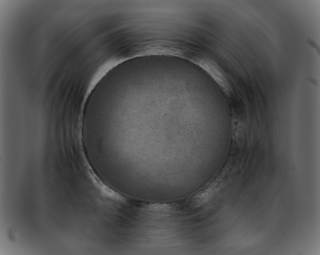 X0000093771094200710161237