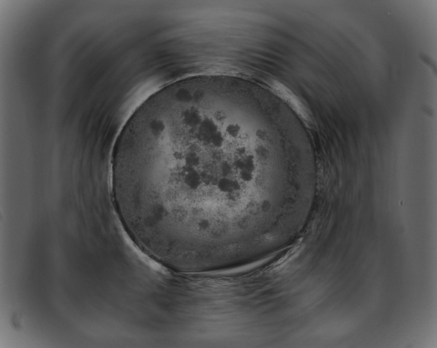 X0000093771095200710161237