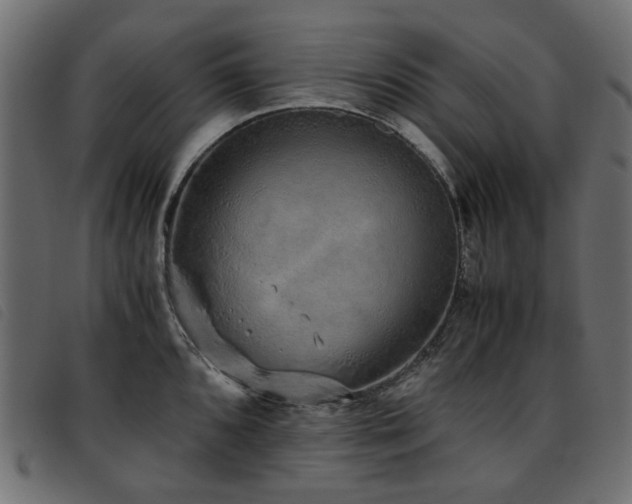 X0000093771096200710161237