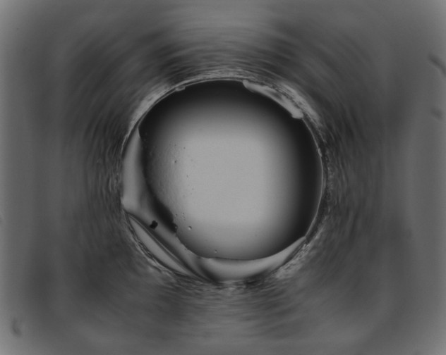 X0000093771097200710161237