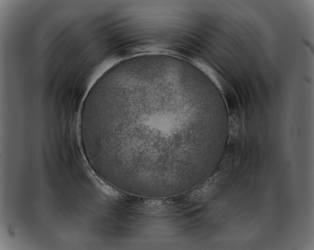 X0000093771098200710161237