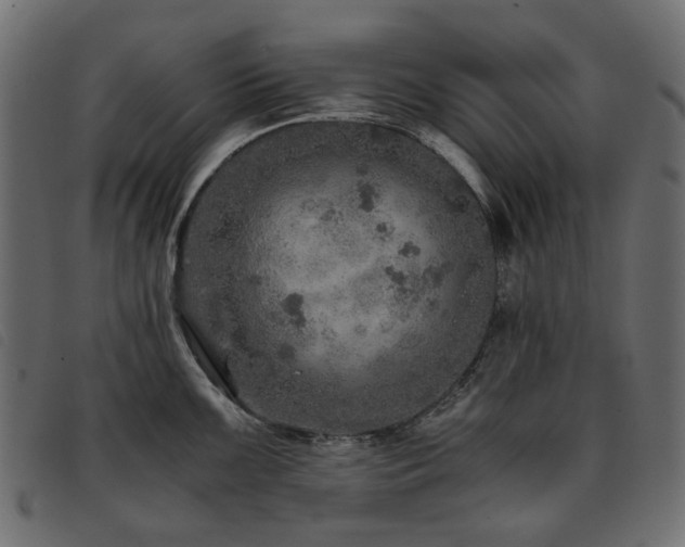 X0000093771099200710161237