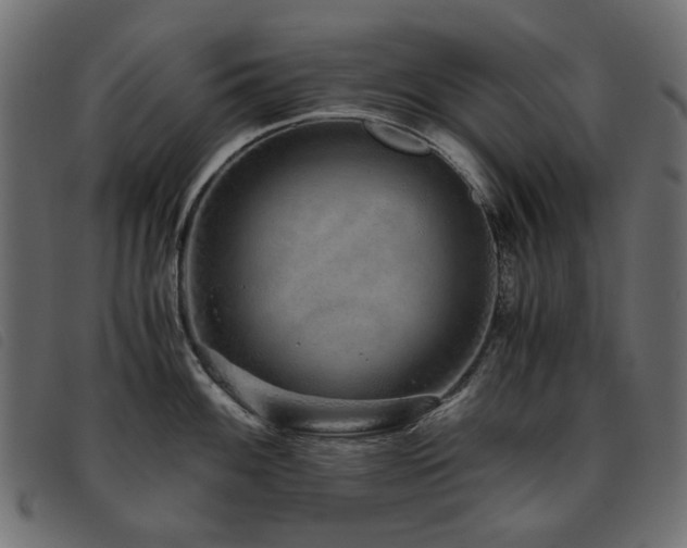 X0000093771100200710161237