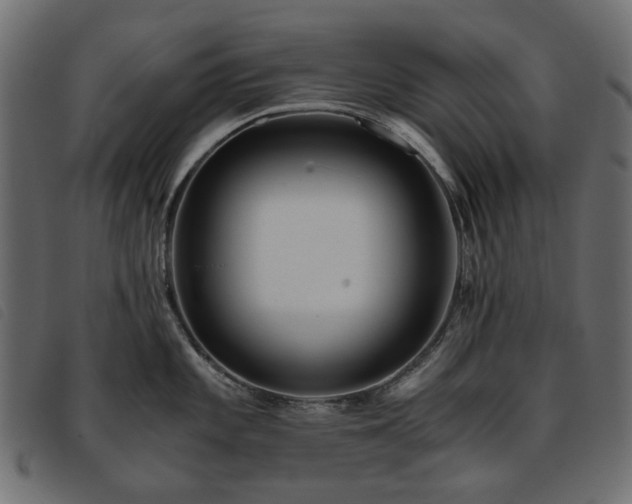 X0000093771101200710161237
