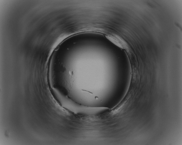 X0000093771102200710161237