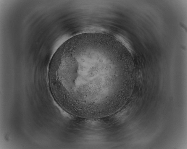 X0000093771103200710161237